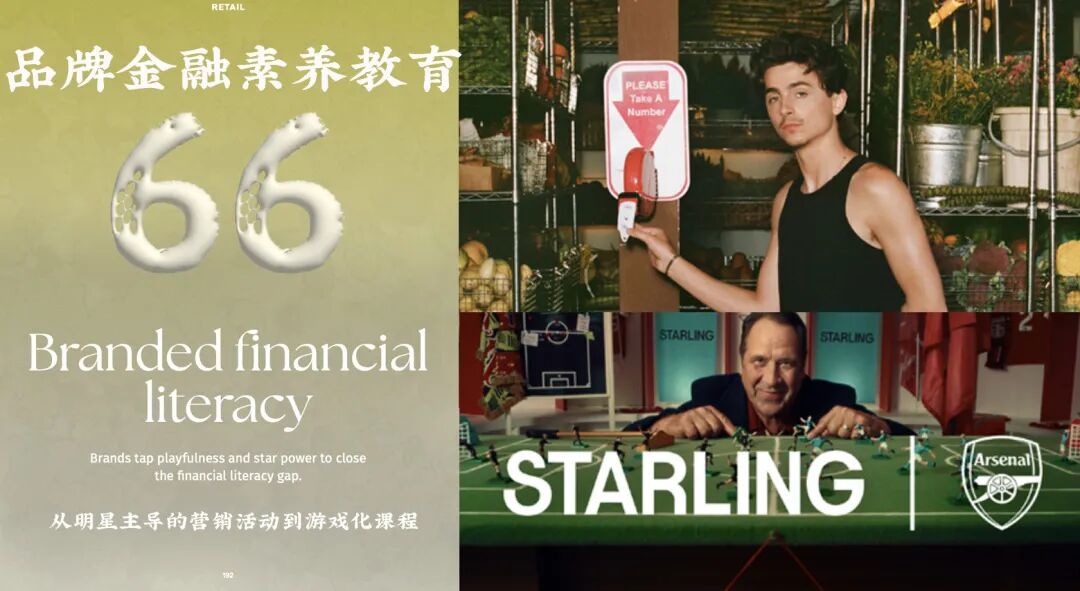 品牌金融素质教育