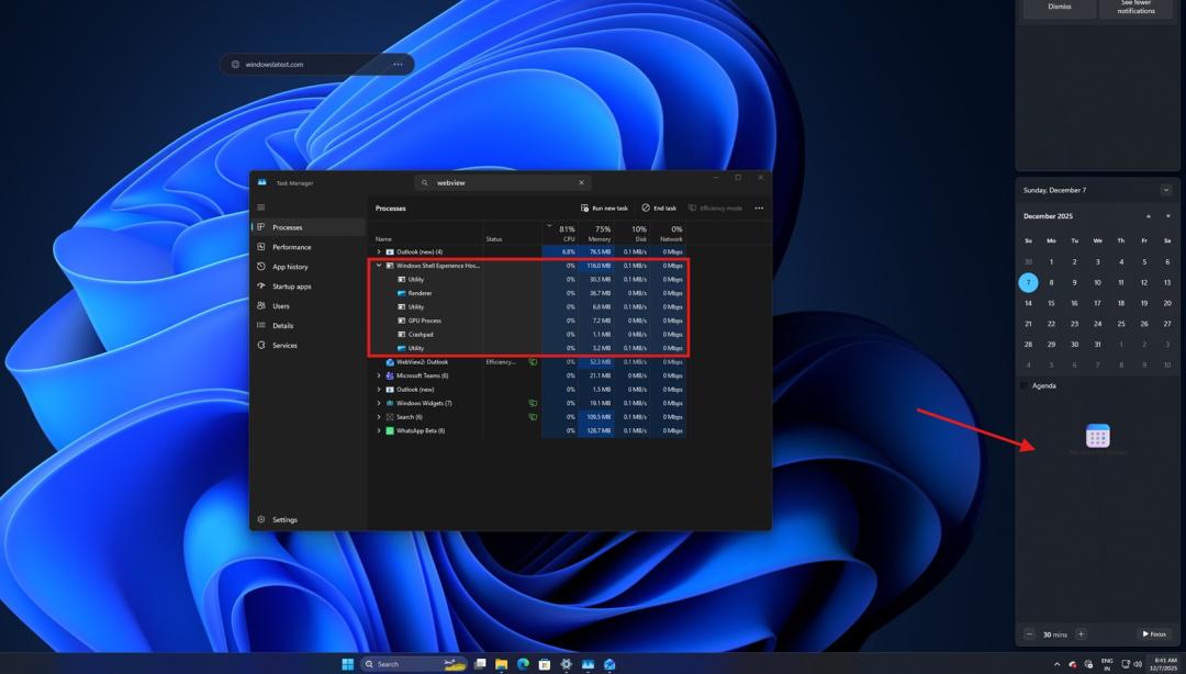 WebView2 进程