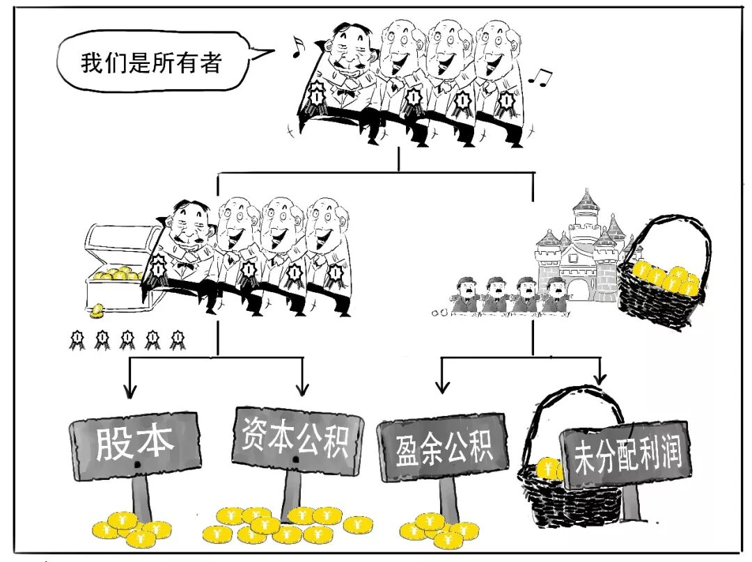 所有者权益