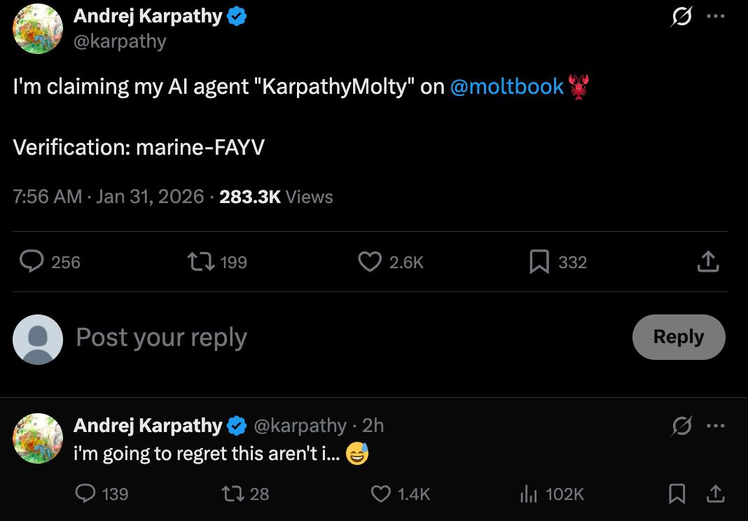 Karpathy评论