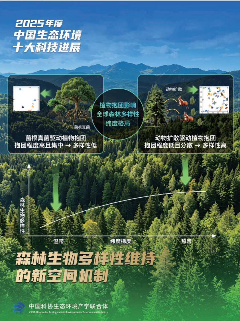 森林空间机制示意图