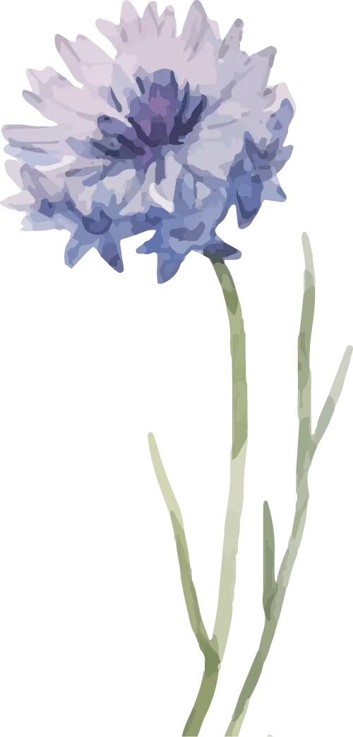 分隔