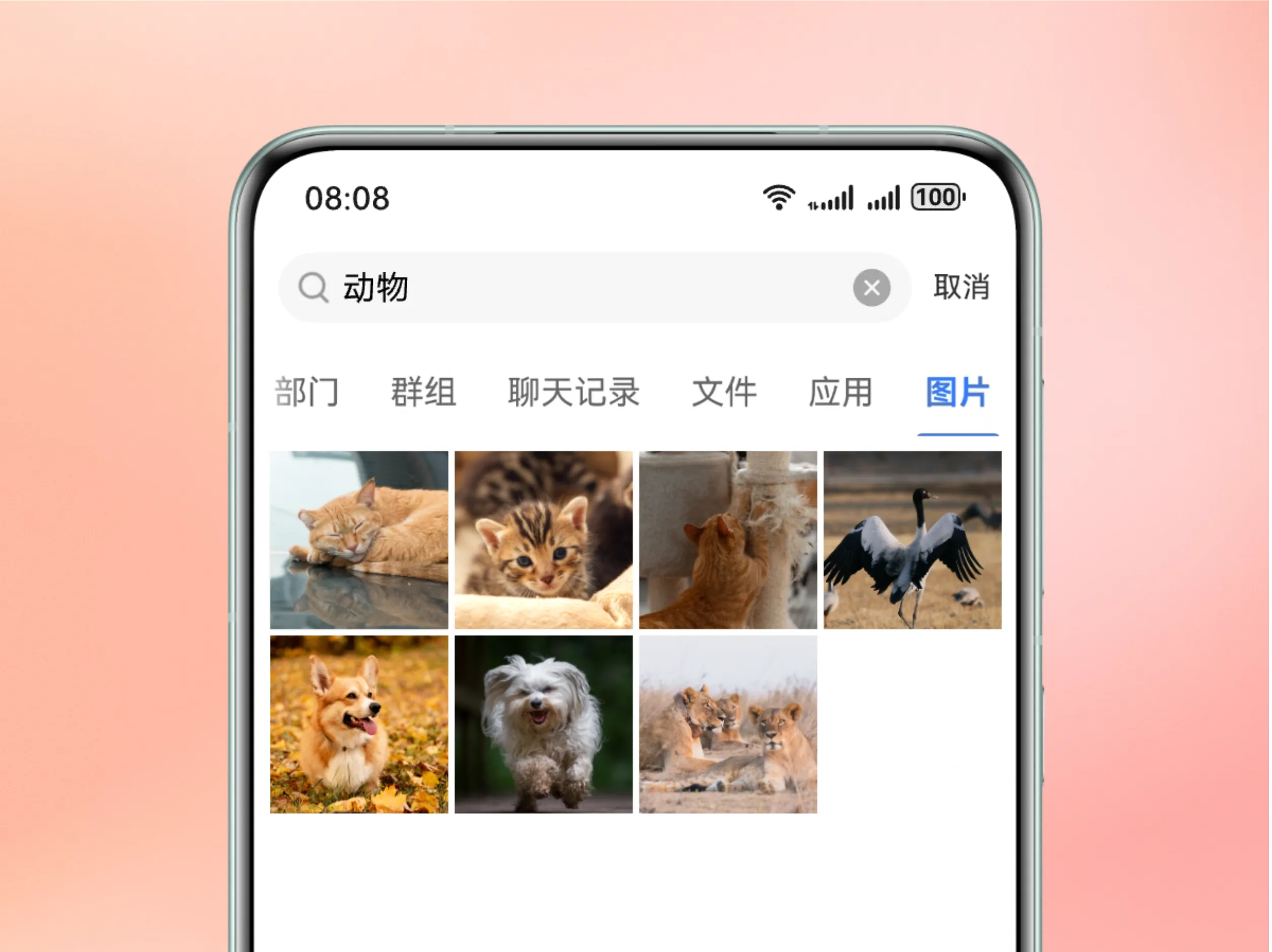 视觉AI能力