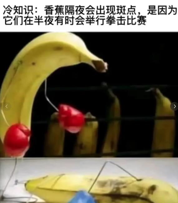 香蕉对比