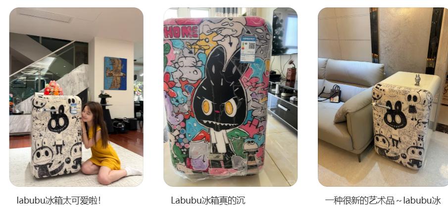 labubu冰箱社交属性