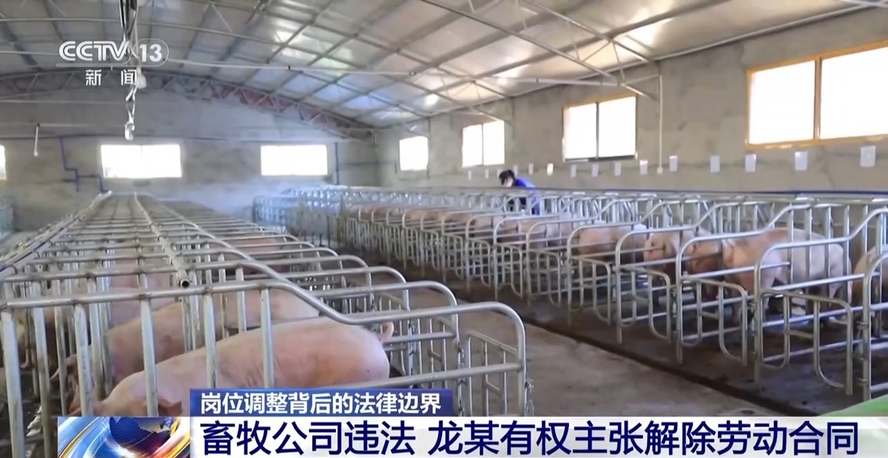 法律依据