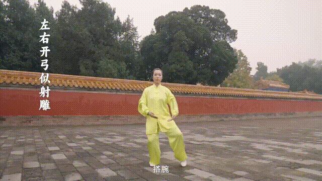 左右开弓似射雕