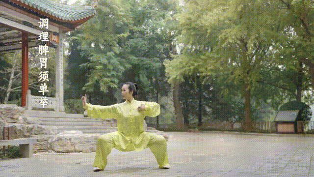 调理脾胃须单举