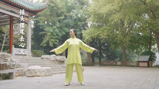摇头摆尾去心火