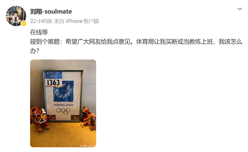 刘翔跨栏