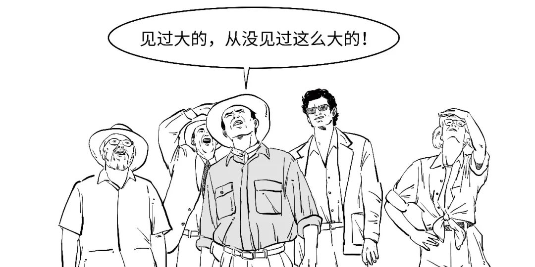 SpaceX上市配图