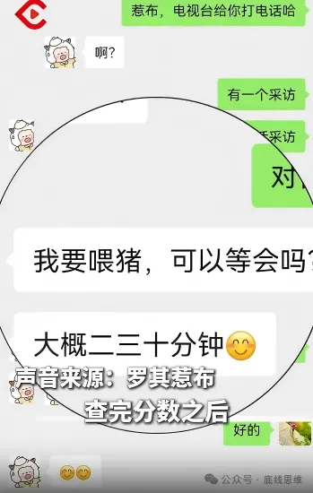 喂猪的少年