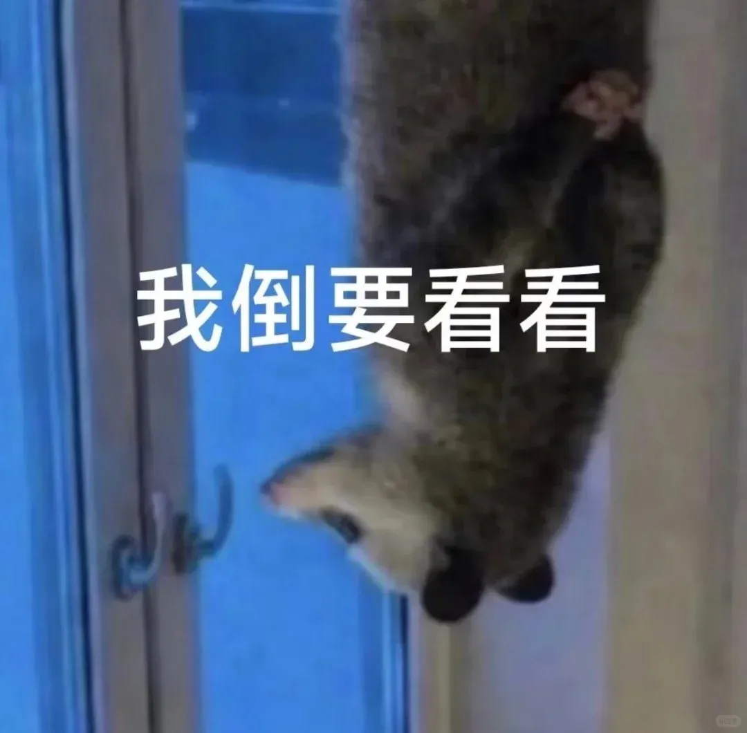 社区挑战
